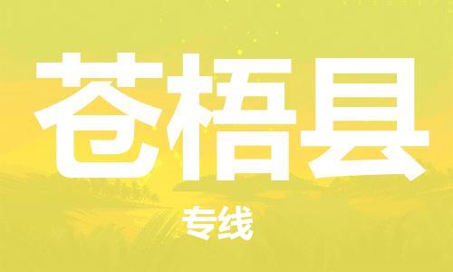 惠安县到苍梧县物流公司-惠安县至苍梧县专线多种运输方式选择